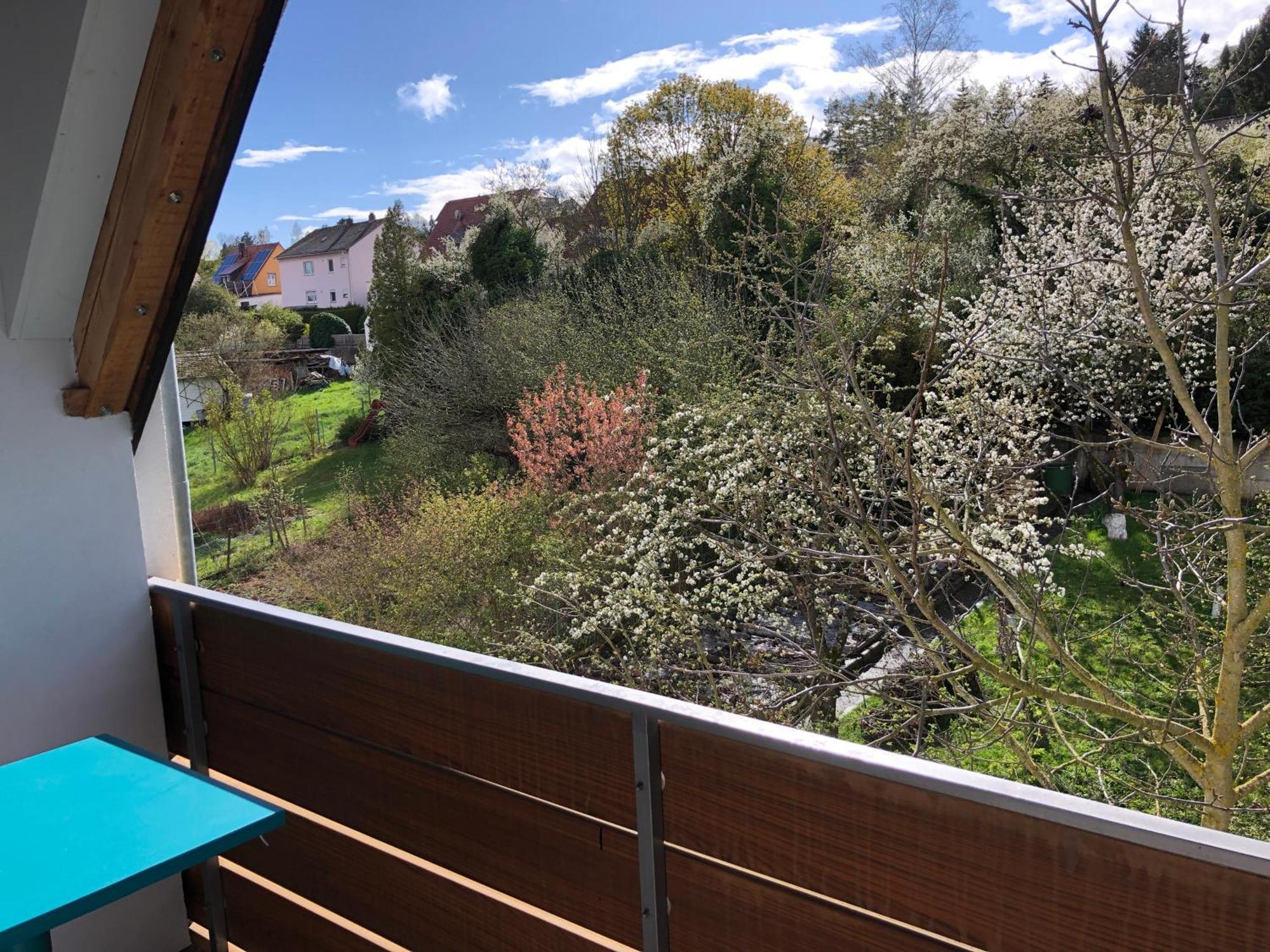 Blaues Zimmer Mit Grossem Balkon, Bad Ist Ein Traum, 50 Schritte Zum Radweg Am Main,Ideal For Short Stay Mainstockheim Екстериор снимка