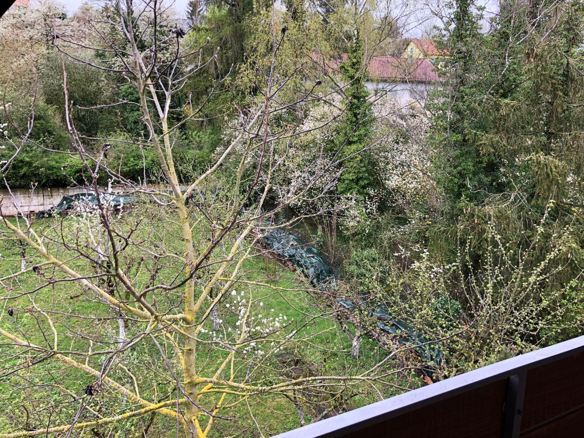 Blaues Zimmer Mit Grossem Balkon, Bad Ist Ein Traum, 50 Schritte Zum Radweg Am Main,Ideal For Short Stay Mainstockheim Екстериор снимка